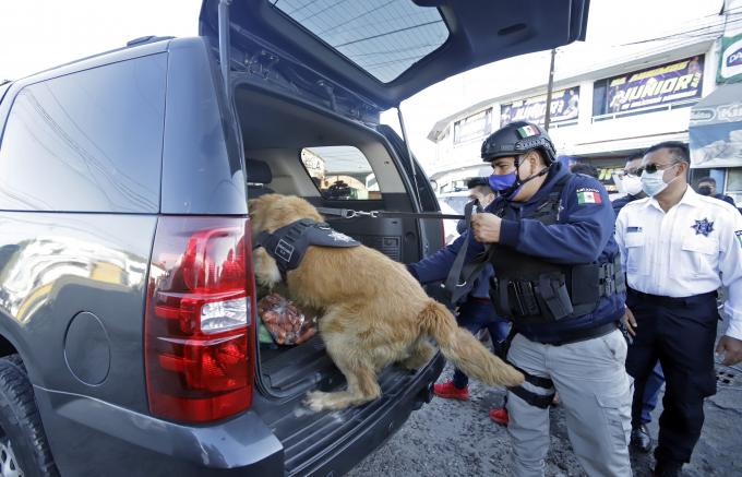 Realiza la SSC municipal operativo de Vigilancia en la Central de Abasto.