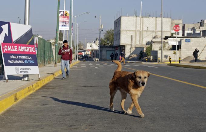 Apertura de calle e inicio de rehabilitación del Parque Juego de Pelota en La Resurección