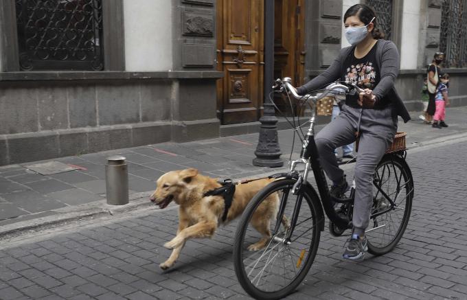 Invita el Ayuntamiento de Tlaxcala Capital al “Paseo Dominical con Animales de Compañía”