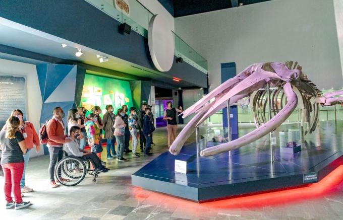 Personas con discapacidad que imparte el CMERI realizaron una visita recreativa y educativa al Museo de la Evolución