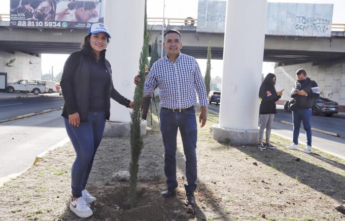 Ayuntamiento de San Andrés Cholula lleva a cabo jornada de reforestación en la carretera federal Puebla-Atlixco
