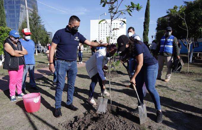 Encabeza Edmundo Tlatehui jornada de reforestación en Concepción Guadalupe