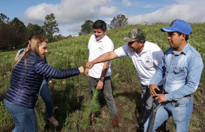 Encabeza Paola Angon jornada de reforestación en el Cerro Zapotecas
