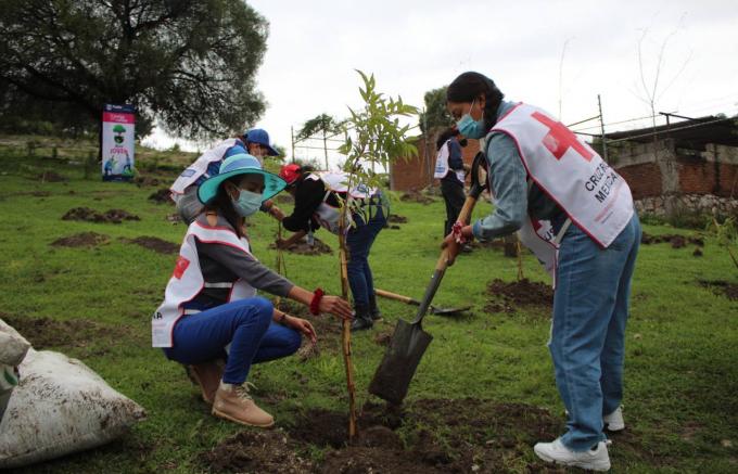 El Ayuntamiento de Puebla y Cruz Roja  plantan mil árboles en BioParque La Calera y 800 en El Aguacate entre acacias y ahuehuetes.