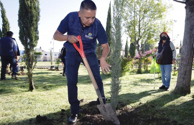 Edmundo Tlatehui encabeza jornada de forestación en parque de Santa María Cuaco