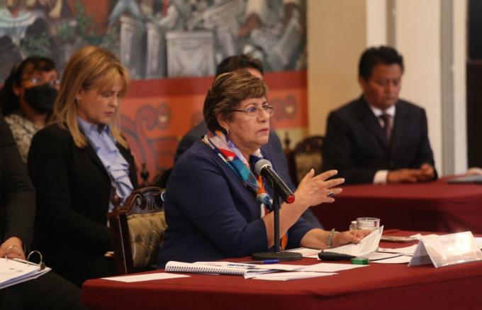 Comparece ante el Cabildo Municipal la secretaria del Ayuntamiento Silvia Tanús.