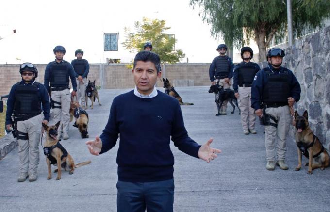 Incorporación de diez nuevos ejemplares caninos a la policía municipal.