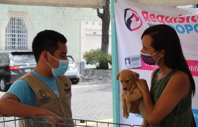 El Ayuntamiento de Puebla exhorta a evitar la compra-venta de mascotas en Día de Reyes