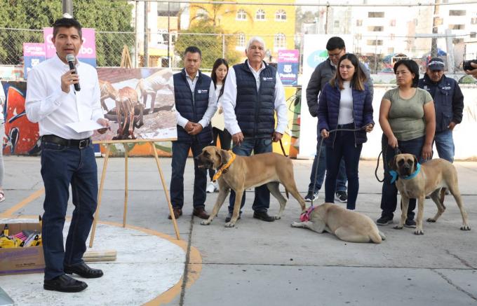 Ayuntamiento de Puebla rescató 11 ‘lomitos’ y los rehabilitó para su adopción