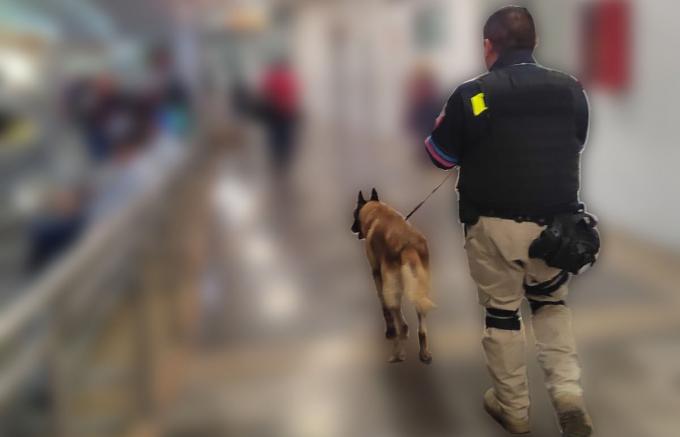 k9 de la Policía Municipal de Puebla decomisa más de 40 kilogramos de probable droga