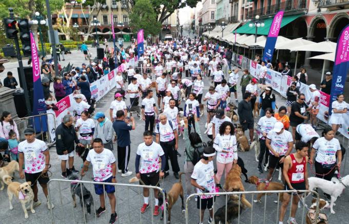 Primera Carrera "Contigo y tus Perritos" reúne a cerca de 500 competidores