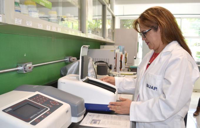 Contribuyen investigadores de la BUAP a lograr la inocuidad en la producción de cilantro en Puebla