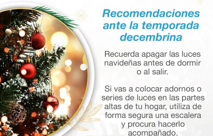Recomendaciones del Ayuntamiento de Puebla para colocar el árbol y adornos de Navidad
