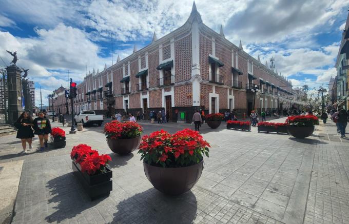 Ayuntamiento de Puebla siembra nochebuenas en el Centro Histórico