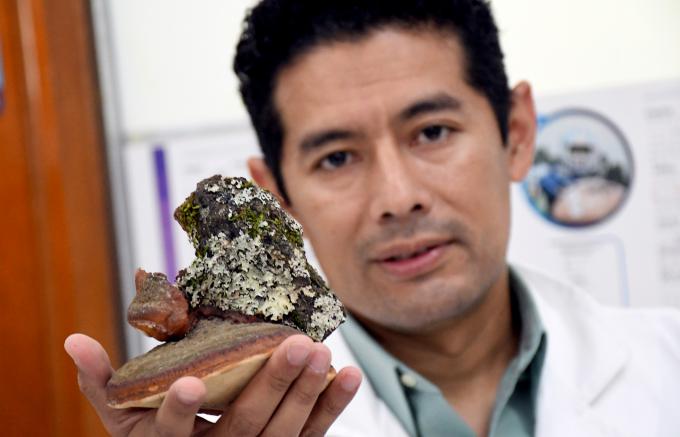 El Instituto de Ciencias de la BUAP rescata saberes ancestrales sobre hongos silvestres en La Malinche