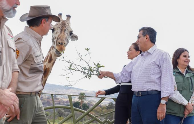 Puebla da bienvenida a jirafa "Benito"