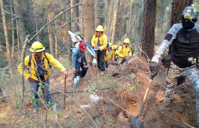 Intervienen tres órdenes de gobierno para liquidar incendio en Libres