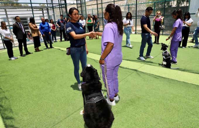 Ofrecen servicios asistidos con canes para la atención de la salud mental de los poblanos, en el DIF Municipal