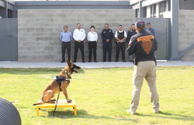 Conforman la unidad canina “K-9” asignada a la Dirección Municipal de Protección Civil