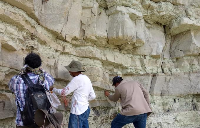 Estudia el Laboratorio de Paleobiología de la BUAP l origen, la evolución y extinción de la flora y fauna de México