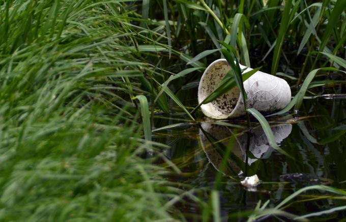 Cólera, dengue, malaria, hepatitis A, zika y chikungunya, enfermedades propias de la temporada de lluvia