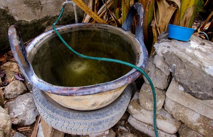 Reporta Salud 22 nuevos contagios por dengue