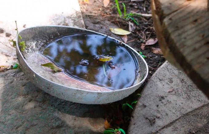 Atiende Salud a 14 personas hospitalizadas por dengue