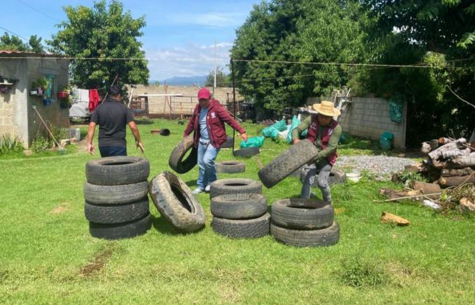 Registra Salud 40 contagios por dengue en las últimas 24 horas