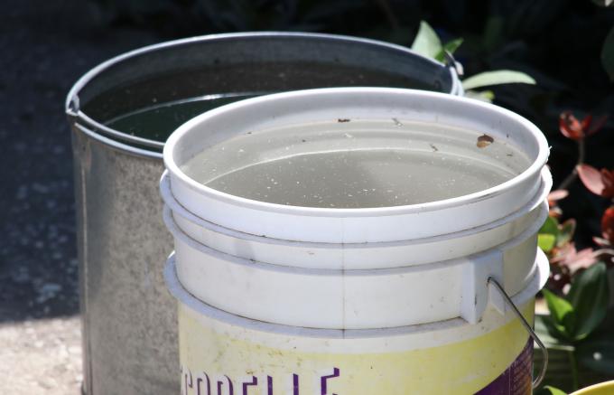 Acumula Puebla 2 mil 439 contagios por dengue en el año