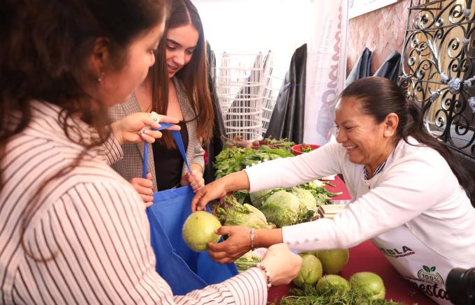 Apoya Bienestar a productores de Módulos de Autosuficiencia con “Mercado del Bienestar”