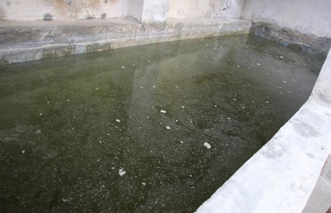 Reporta Salud 45 nuevos contagios por dengue en 24 horas