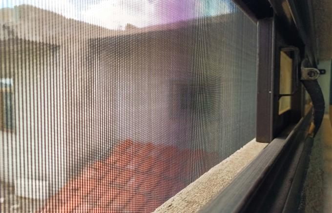 Sin defunciones por dengue en Puebla en las últimas 24 horas