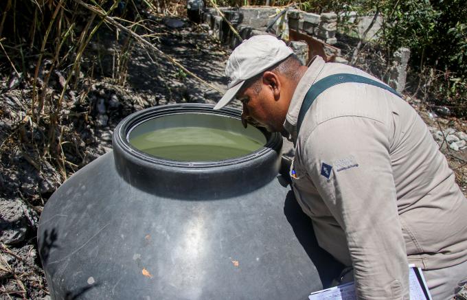 Suma Puebla 4 mil 574 casos acumulados por dengue: Salud