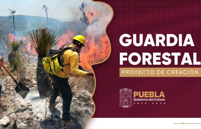 Prevención y combate de incendios, tareas de la Guardia Forestal del Estado