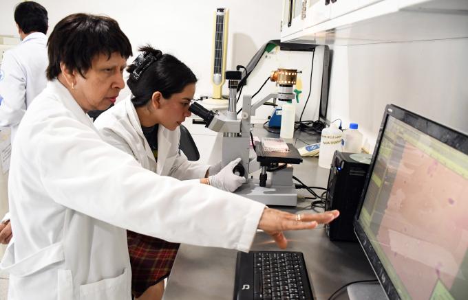 Con modelos computacionales, investigadores BUAP predicen y describen la regeneración epitelial