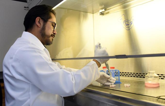 Investigadores del Instituto de Fisiología BUAP estudian la relación estructura-función en las células cardiacas
