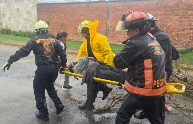 Atendió Protección Civil Municipal a mujer lesionada por caída de árbol 