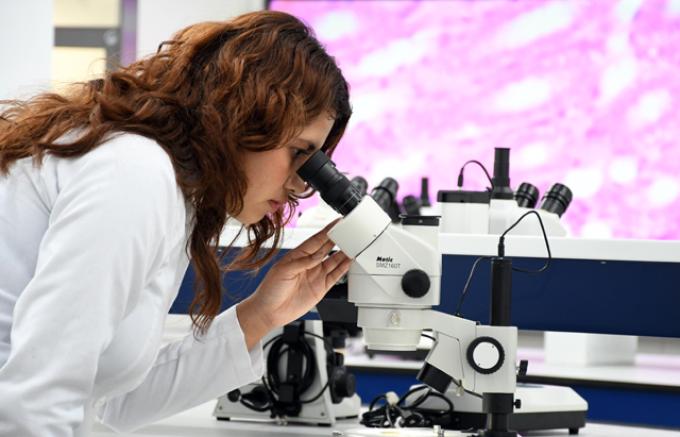 CU2: referente en innovación científica y formación de alta especialidad