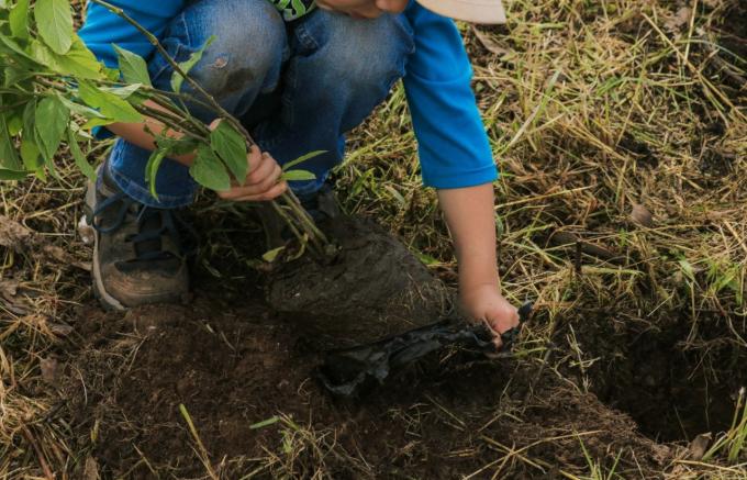 Impulsa Guadalupe Cuautle acciones conjuntas para un San Andrés Cholula más verde