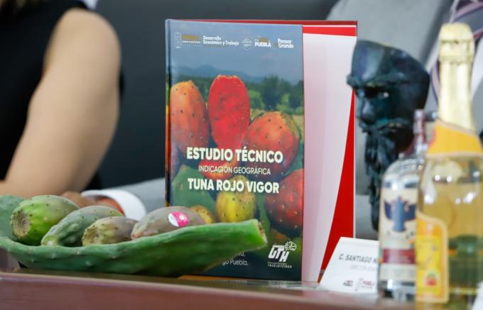 UTH entregó a IMPI estudio para Indicación Geográfica de tuna de Acatzingo