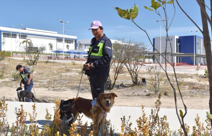 Imparte Herpetario de la FCB capacitación para manejo de organismos vivos en CU2 BUAP
