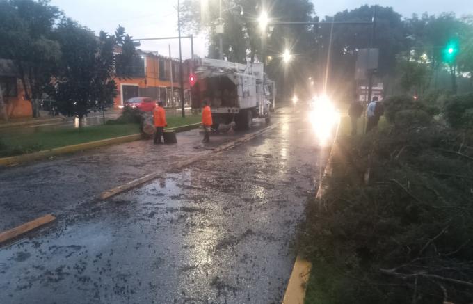 Activó Gobierno de la Ciudad protocolo de seguridad y limpieza urbana por lluvias