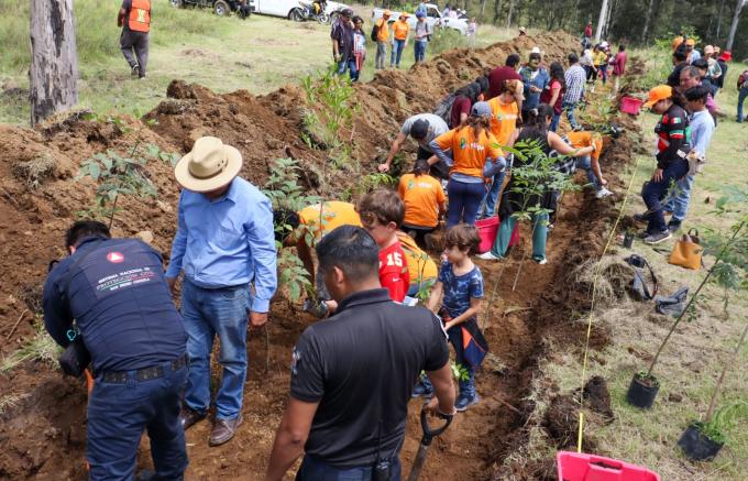 Encabezó la alcaldesa Tonantzin Fernández jornada de reforestación “Raíces de Agua” en el Cerro Zapotecas