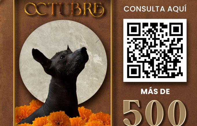 Presentó IMACP más de 500 actividades para octubre en la Agenda Cultural 