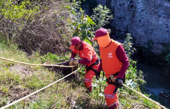 Gobierno de la Ciudad refuerza acciones de limpieza para prevenir inundaciones