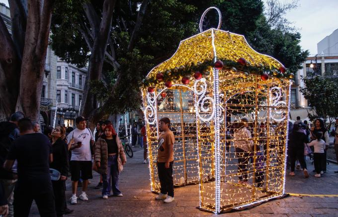 Gobierno de la Ciudad emitió recomendaciones para una instalación segura del árbol de navidad