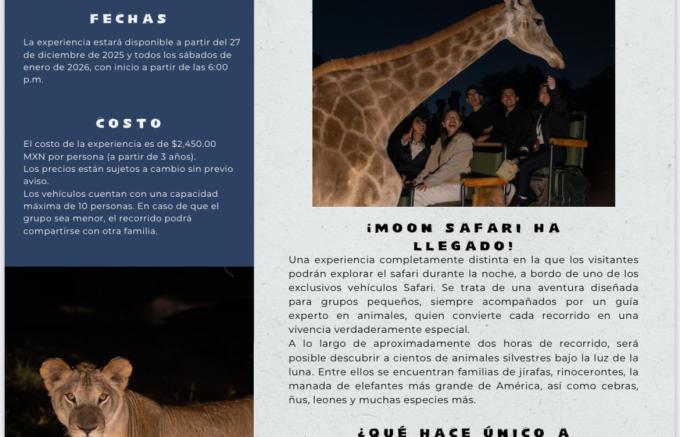 Africam Safari lanza “Moon Safari”, una experiencia nocturna única en Puebla 