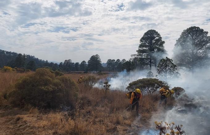 Brigadas forestales liquidan los primeros cuatro incendios de la temporada 2026