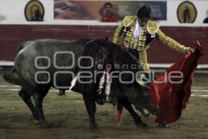 TOROS - JOSÉ MAURICIO