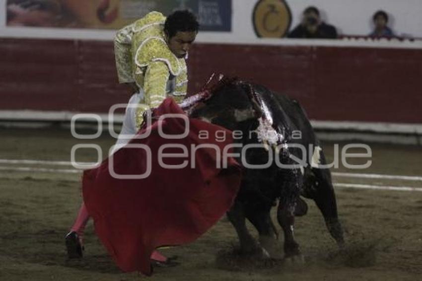 TOROS - JOSÉ LUIS ANGELINO